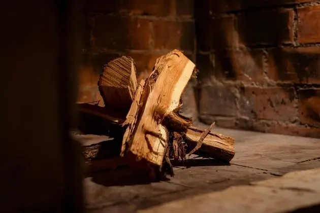 Villa (Two Bedroom Villa with Private Pool)