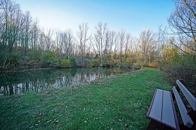 Kulübe (Lazy Bear Lodge • Mountain Views A+)