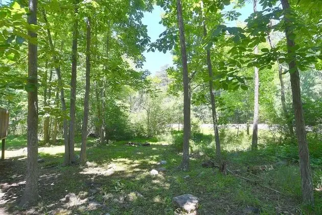 Ev, Birden Çok Yatak (Lazy Bear Retreat)