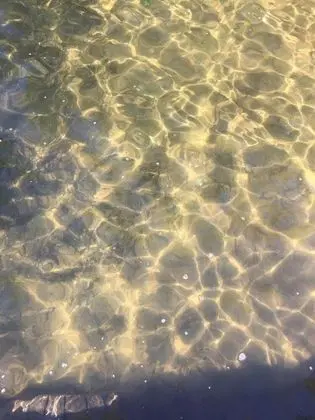 Kulübe, Birden Çok Yatak, Mutfak