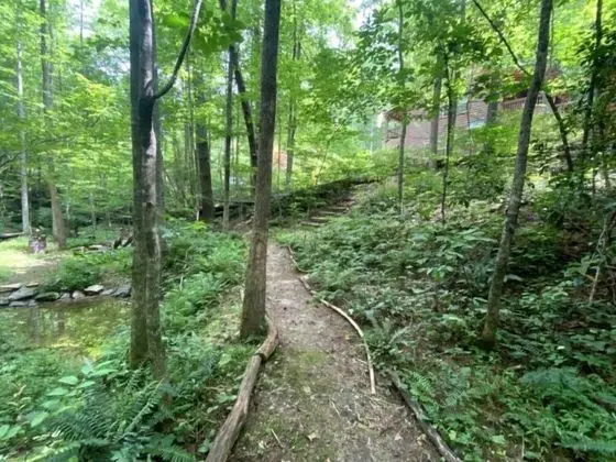 Kulübe (Lazy Springs Cabin)