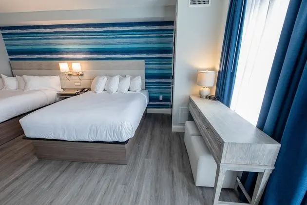 Luxury Stüdyo, 1 Yatak Odası