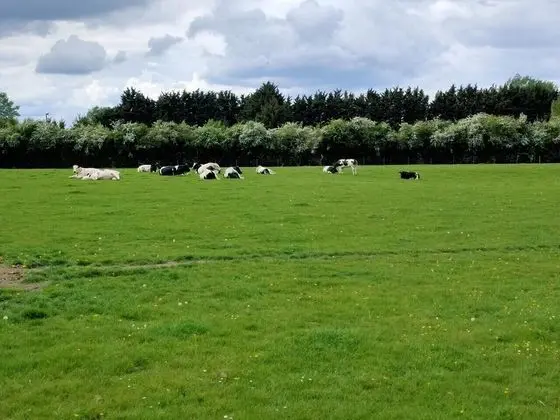 Comfort Ev, Şehir Manzaralı