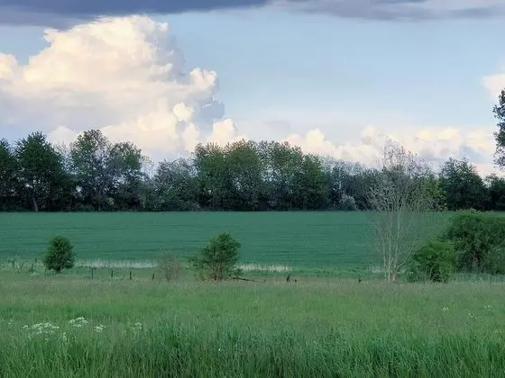 Comfort Ev, Şehir Manzaralı