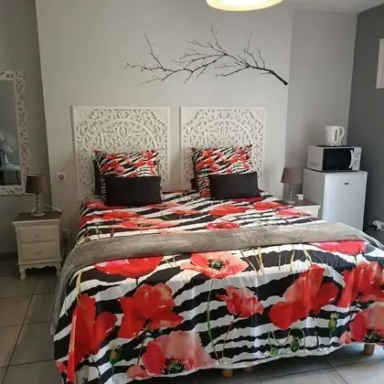 Tek Büyük Yataklı Oda (Hautacam)