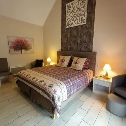 Tek Büyük Yataklı Oda (Viscos)