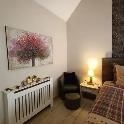 Tek Büyük Yataklı Oda (Viscos)