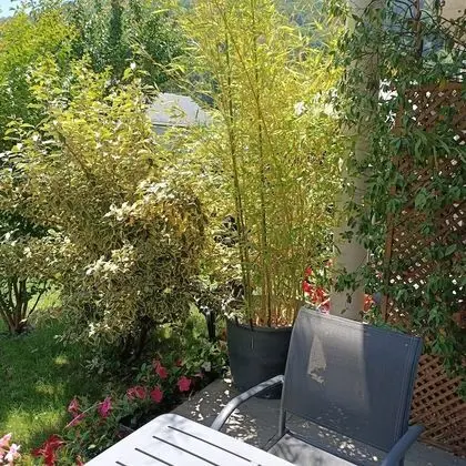 Tek Büyük Yataklı Oda (Viscos)