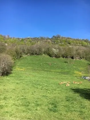 İki Ayrı Yataklı Oda (1-3)