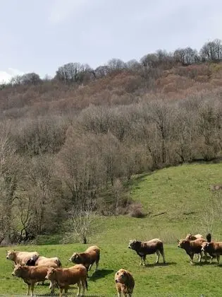 Tek Büyük Yataklı Oda (2-5-8)