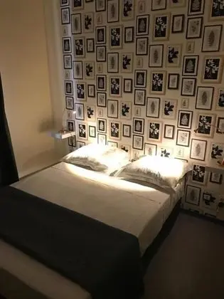 Standard Tek Büyük Yataklı Oda, 1 Çift Kişilik Yatak