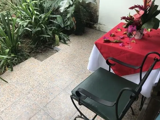 Superior Tek Kişilik Oda, 1 Büyük (Queen) Boy Yatak, Bahçe Manzaralı, Bahçeli