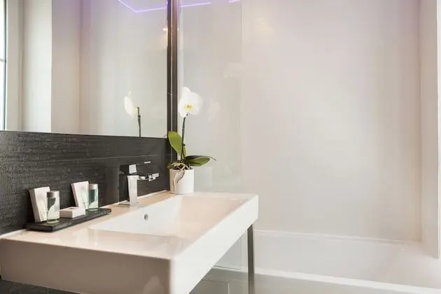 Deluxe Tek Büyük veya İki Ayrı Yataklı Oda
