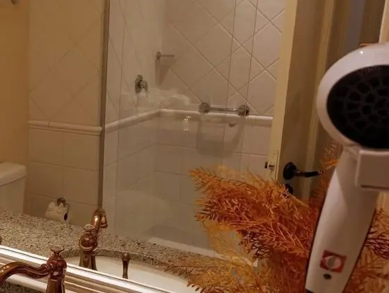 Deluxe Tek Büyük Yataklı Oda, Jakuzi (Lyon)