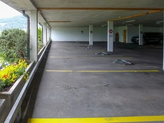 Ev