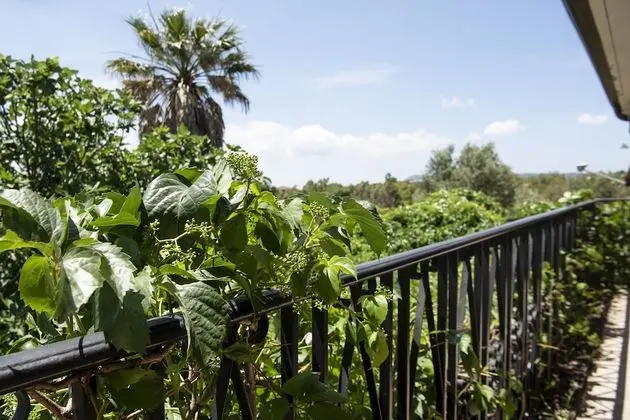 Deluxe Tek Büyük Yataklı Oda (The Suite)