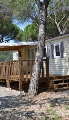 Comfort Karavan, 3 Yatak Odası