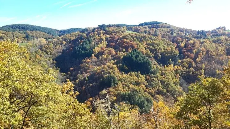 Tek Büyük Yataklı Oda, Dağ Manzaralı