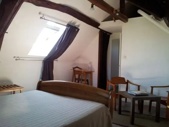 Comfort Tek Büyük Yataklı Oda (38)