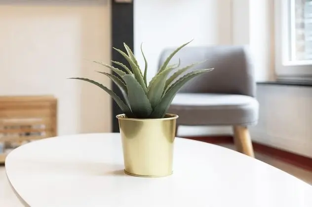 Comfort Apart Daire, 2 Yatak Odası, Şehir Manzaralı