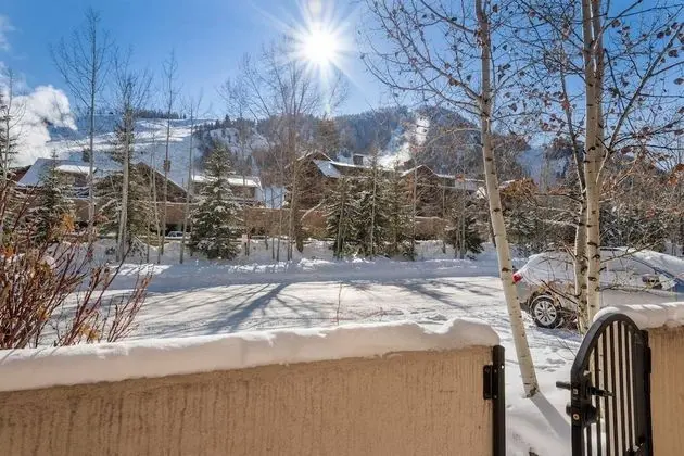 Daire (Le Chamonix #11 Aspen Highlands)