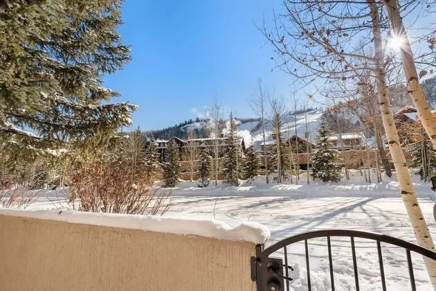 Daire (Le Chamonix #11 Aspen Highlands)