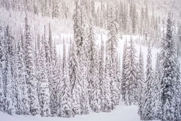 Daire (Le Chamonix #11 Aspen Highlands)