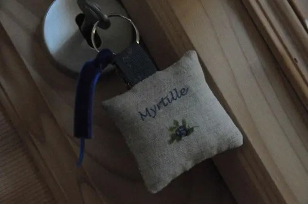 Classic Oda (Myrtille)