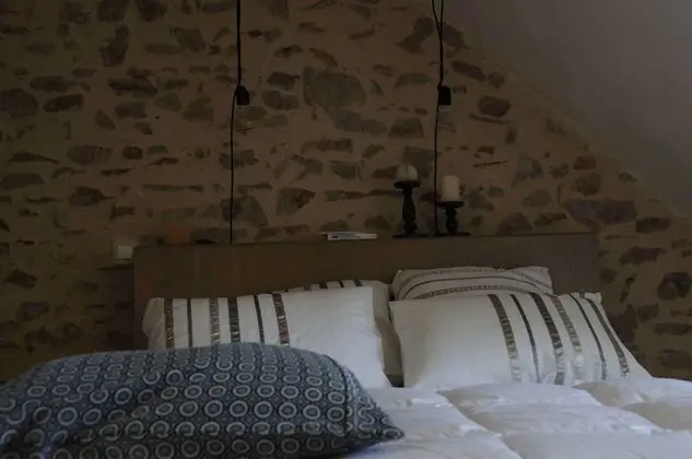 Classic Oda (Myrtille)