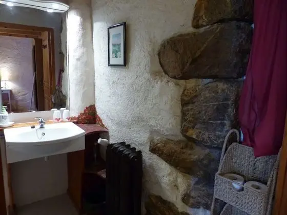 Deluxe Tek Büyük Yataklı Oda, Engellilere Uygun