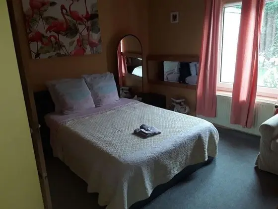 Standard Tek Büyük Yataklı Oda