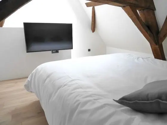Premium Apart Daire, Banyolu/Duşlu (Le De Gaulle)