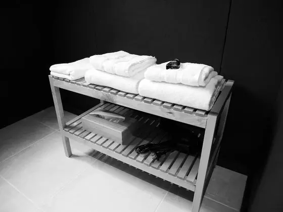 Premium Apart Daire, Banyolu/Duşlu (Le De Gaulle)