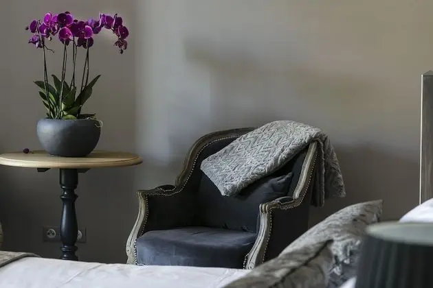 Comfort Oda, Teras, Park Manzaralı