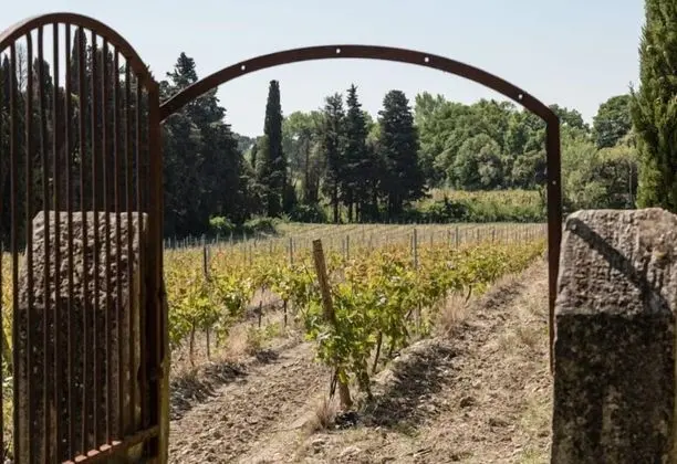 Comfort Oda, Teras, Park Manzaralı