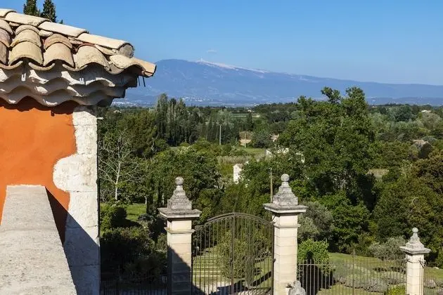 Comfort Oda, Teras, Park Manzaralı