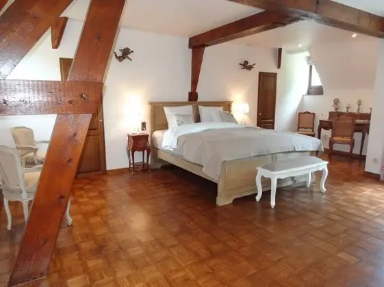 Superior Tek Büyük Yataklı Oda