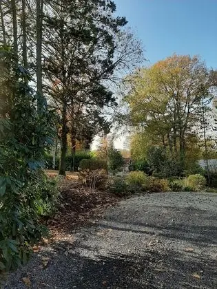 Tek Büyük Yataklı Oda (Baldaquin)