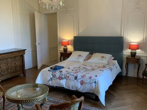 Superior Tek Büyük Yataklı Oda, Banyolu/Duşlu, Bahçe Manzaralı