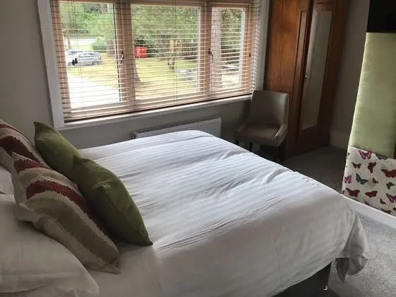 Deluxe Tek Büyük veya İki Ayrı Yataklı Oda, Banyolu/Duşlu