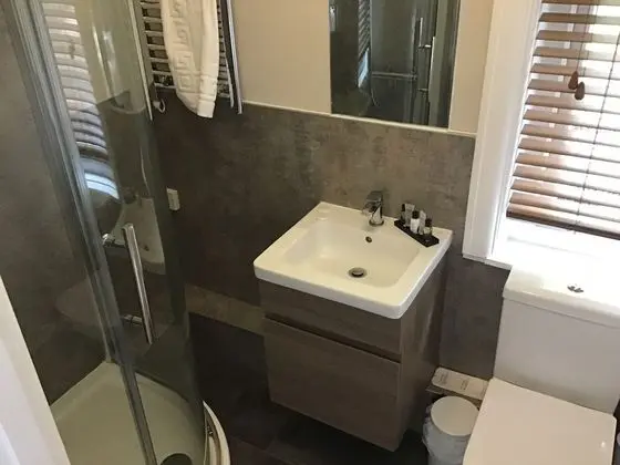 Deluxe Tek Büyük veya İki Ayrı Yataklı Oda, Banyolu/Duşlu