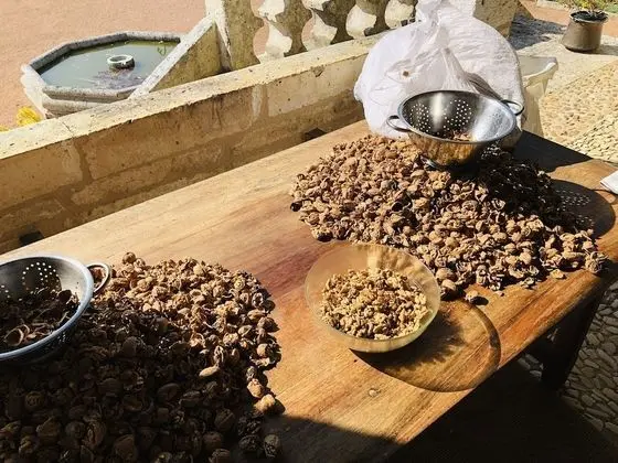 Grand Süit, 2 Yatak Odası, Engellilere Uygun