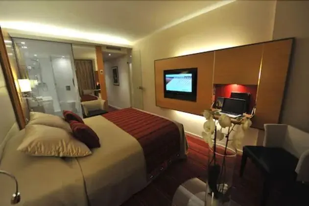 Tek Büyük Yataklı Oda, Balkon, Deniz Manzaralı (Privilege)