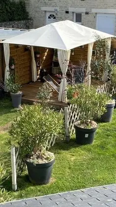Standard Oda, Bahçe Manzaralı