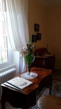 Tek Büyük Yataklı Oda, Bahçe Manzaralı (Monet)