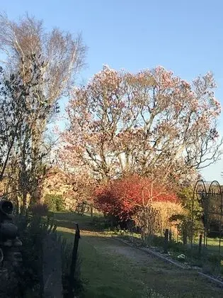 Tek Büyük Yataklı Oda, Bahçe Manzaralı (Monet)