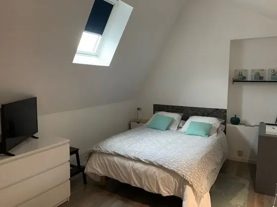 Tek Büyük Yataklı Oda, 1 Çift Kişilik Yatak, Sigara İçilmez