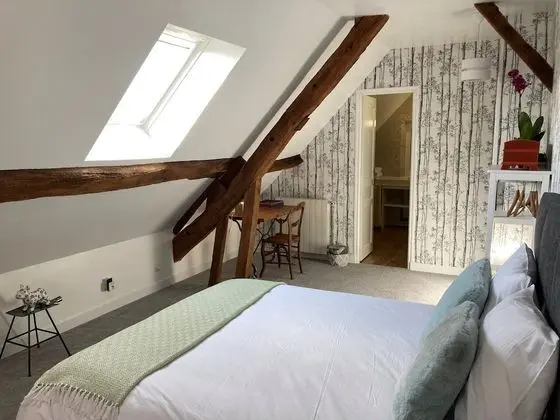 Classic Tek Büyük Yataklı Oda, Banyolu/Duşlu, Bahçe Manzaralı (Chambre 2)