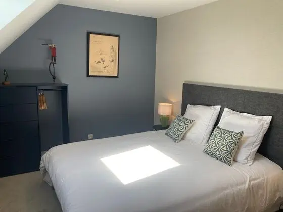 Tek Büyük Yataklı Oda, Banyolu/Duşlu (Chambre 4)
