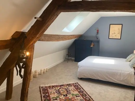 Tek Büyük Yataklı Oda, Banyolu/Duşlu (Chambre 4)